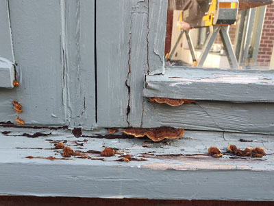 Wooden window repairs - before image